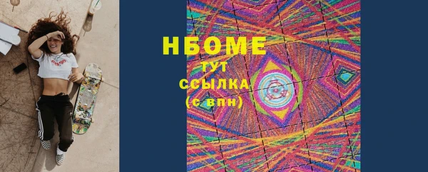 хмурый Алексин