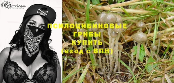 прущие крисы Армянск